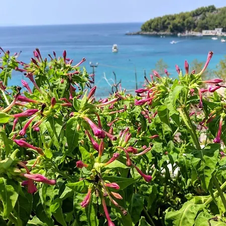 Appartement Fane's *